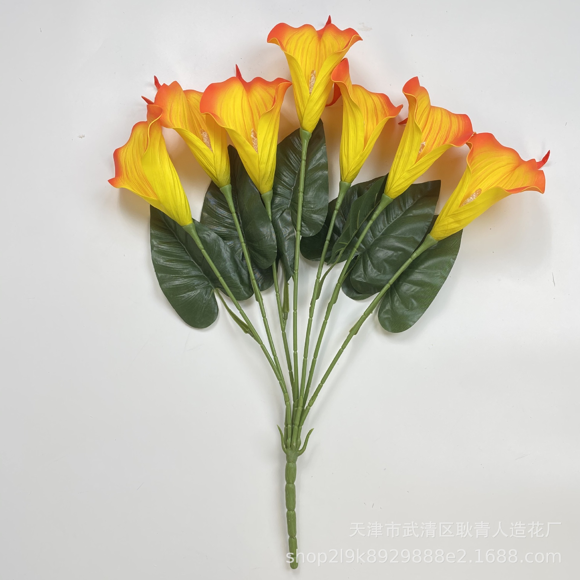 900132099c5b8f18a240197697a576