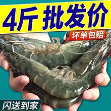 ���u���r�r�����r�}�����rˮ�aһ�䌦�r�����r���r����