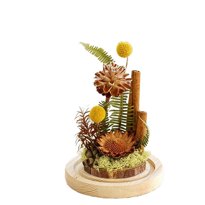 Flor de madera imortales flores secas cubierta de vidrio espécimen de plantas decoración para el hogar regalos de madera para el día de la madre