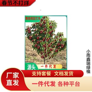 �������l�����簫��������S�ۙ�����F�ڬF�u���_˹8̖���Ҙ���