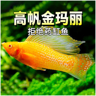 �߷�����̥���~�����������w�Ꭷ�^�p�~�󷫬���С�͵�ˮ�����~