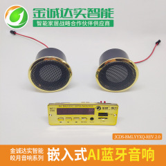 組み込みbluetoothオーディオaiプラグ可能usb付き小型オーディオセット音響音声アシスタントbluetooth 5.0新製品