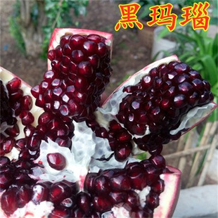 �ڬ�觟o�Ѻ�ʯ�����ʯ���ϱ��ļ��Nֲ�̨������ʯ��䮔��Y��