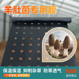 羊肚菌用黑色打孔地膜保温保湿防草透气 农用薄膜小孔羊肚菌膜