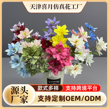 ���滨5�^���m�߷����c��Y�ñ���·�����Ų廨�����쾰��ˇ