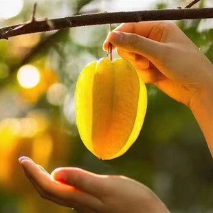 ���º���������ҡ�������̨�����M����ˬ��5�����rˮ��һ�����l