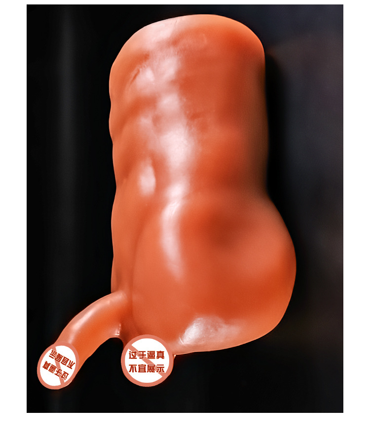 Half-Body TPE Male Masturbator Manual Inverted Mold Device Brown — detail image 20