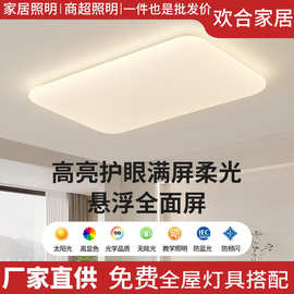 客厅吸顶灯苹果悬浮客厅led超亮奶油风广东中山灯具大全2024年