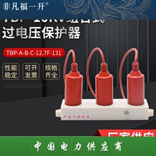 TBP-10KV���ʽ����ѹ������TBP-A-B-C-12.7F/131��������������