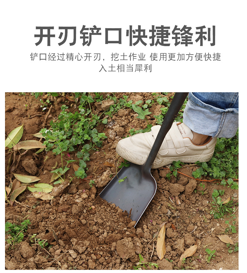 O1CN01PQd9Yp2KUWzRuQG2Q_!!2185