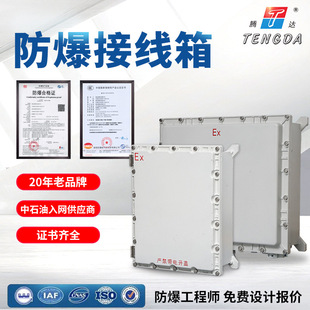 Industrial Explosion-Proof Distribution Box Junction Box Instrument Power Inspection Lighting Power Control Operation Monitoring Box Terminal Box