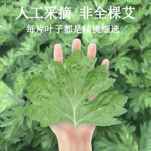 Base supply of Nanyang wormwood, 500g wormwood for bathing during the month of childbirth, foot bath bag, wormwood bag wholesale