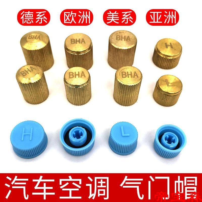 Automotive Air Conditioning Valve core cap R134a Pure copper H low pressure dustproof Plastic lid Dosing Fluoride suit