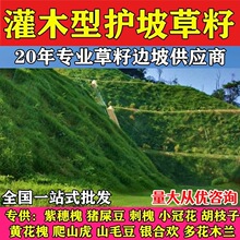 �o�¹�����ľ�������뻱�N�Ӵ̻��G��߅�¸���·�໨ľ�m����ľ��