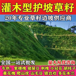 �o�¹�����ľ�������뻱�N�Ӵ̻��G��߅�¸���·�໨ľ�m����ľ��