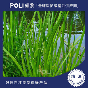 ӡ���M�����Ѹ����� �H�蹩���η�������޹ ��Ȼ��Ħ�o�w����ԭ��