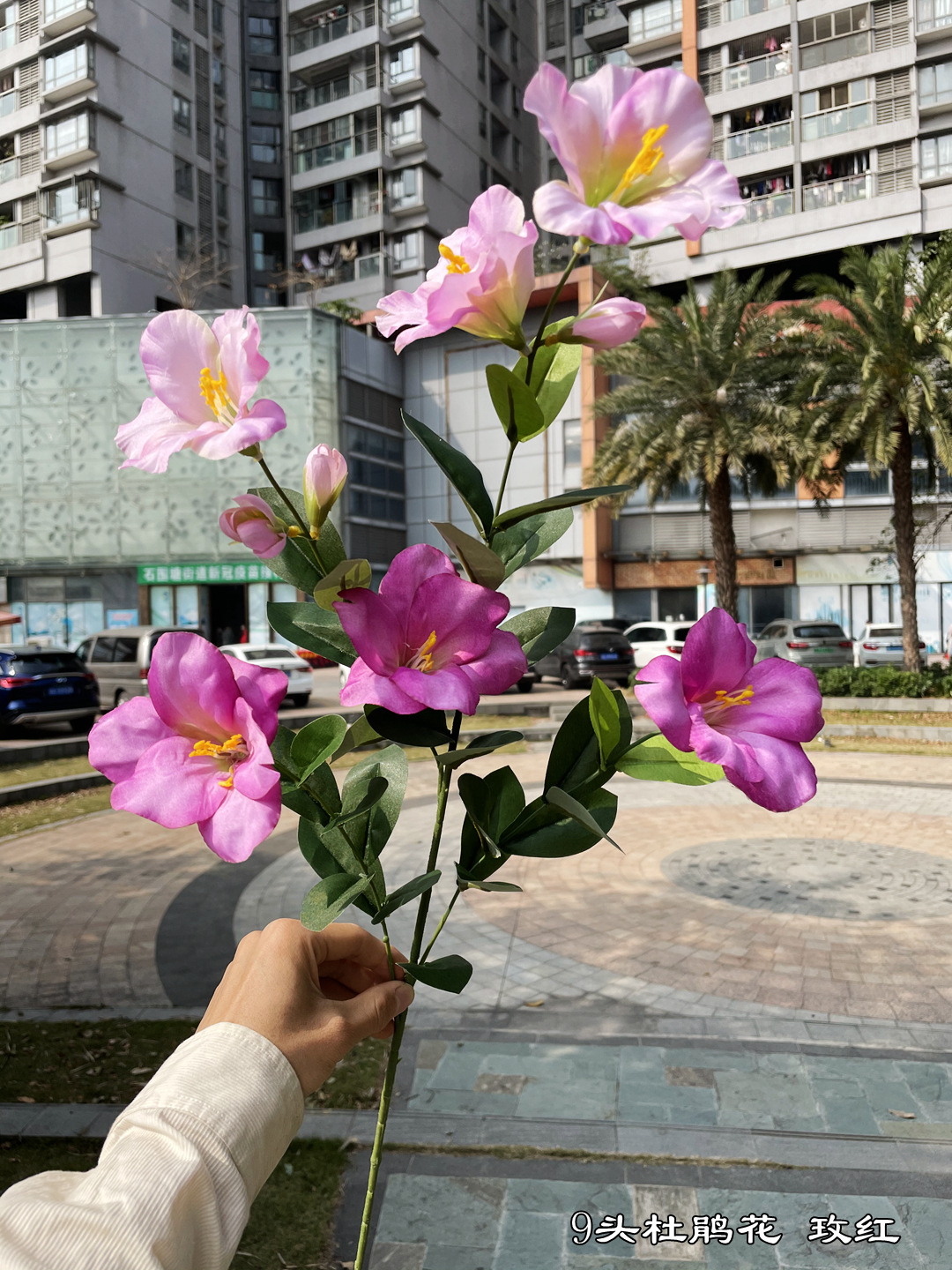 微信图片_20220121131914_副本