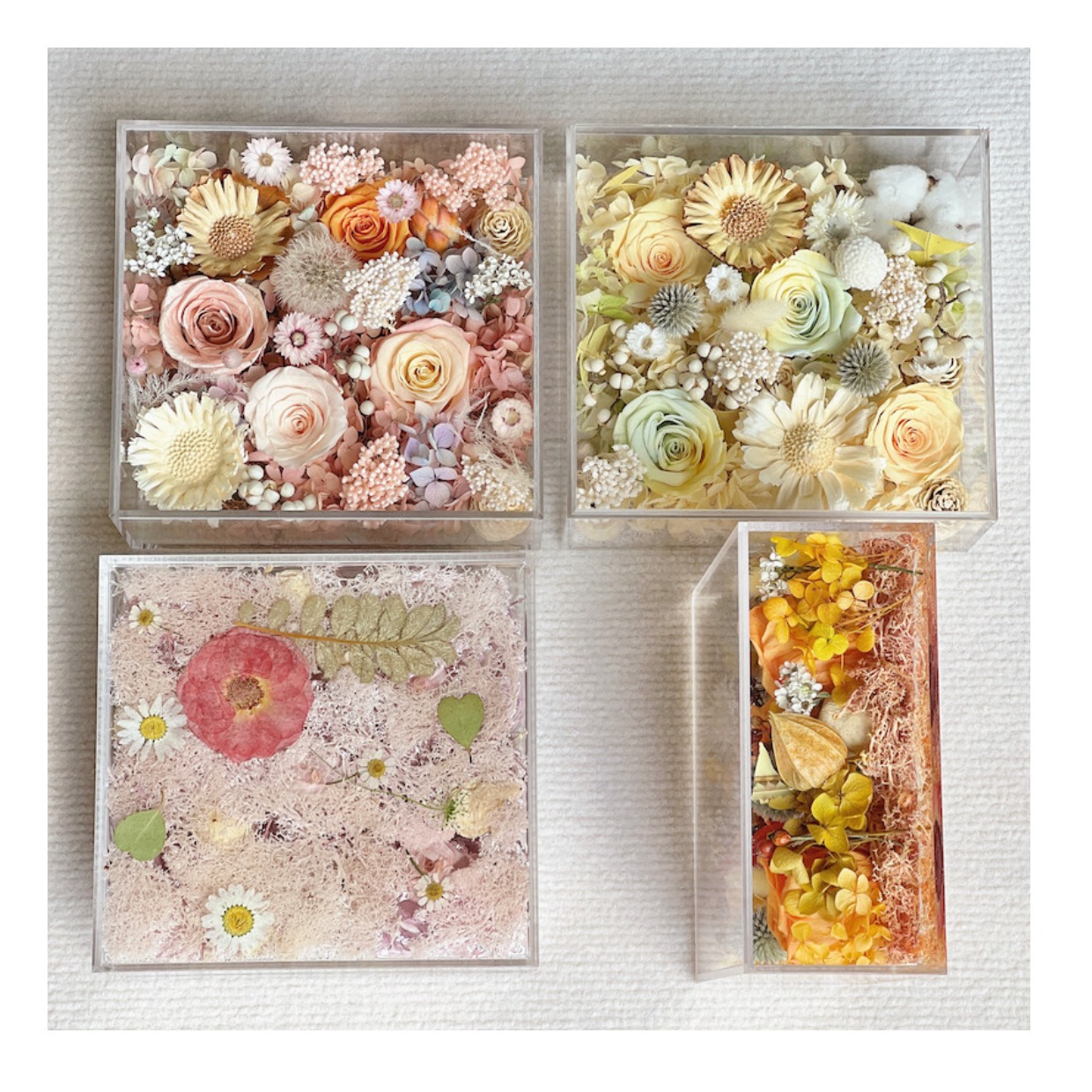 Flor eterna marco de fotos acrílico flor real caja de flores secas regalo decoración del hogar vacaciones flor caja de regalo