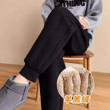 加绒运动裤女秋冬加厚休闲卫裤一体羊羔绒宽松束脚一条过冬棉裤子