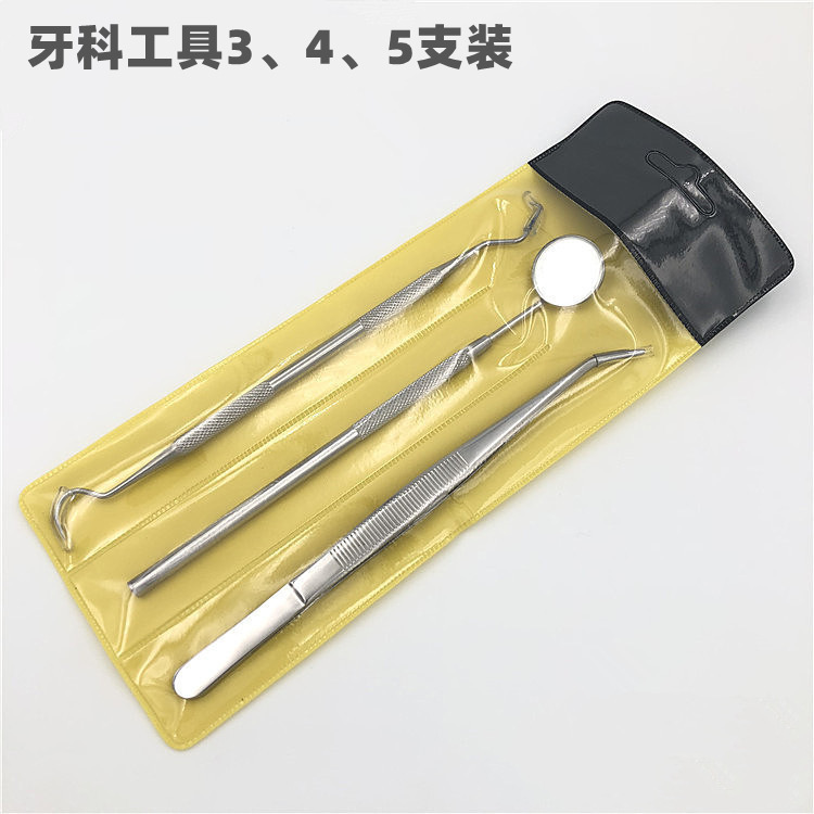 Stainless Steel Dentist Tools Oral Cleaning to Remove Tooth Stains and Calculus Dental Endoscope Tooth Cleaning Set