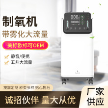 带雾化多人吸氧器 ZY-10FW医用制氧机 负离子触控式制氧吸氧机器