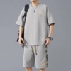 DDWD-T02 gray