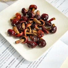 ����Ұ�������zĢ��DIY���h������t������ɭϵ�ֹ��Ʒ���