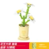 Daisy (Lele Brothers 8813-1)