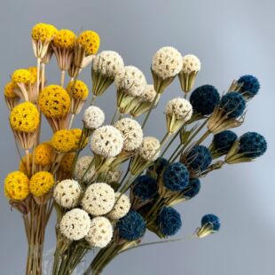 ··ͨ�ɻ������������̎���ins�Ҿ��b�diy�Ĕz������Ͽ羳���l
