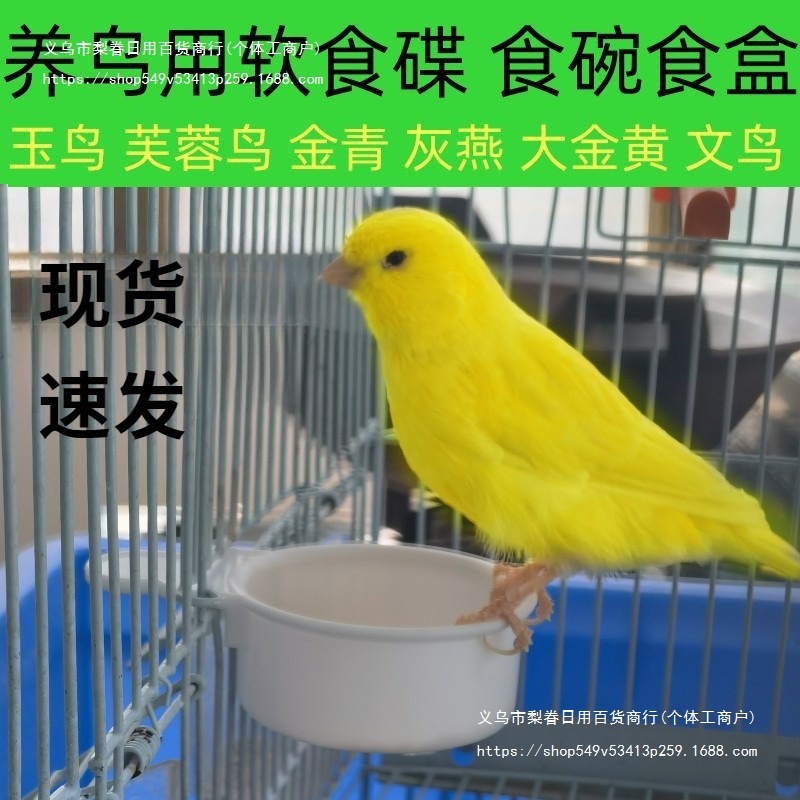 鳥用ソフトフードプレート、フードボウル、分離フードボックス、翡翠鳥、ハイビスカス鳥、カナリア、ゴールデングリーンアッシュスワロー、シスターズバード、オウム|undefined