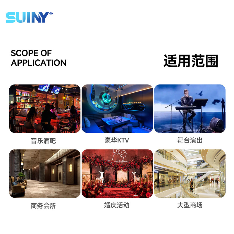 SUINY/Shuyin 12 pulgadas woofer medio 180 magnético 75 núcleo lavabo de aluminio KTV altavoz de escenario profesional 350W entretenimiento
