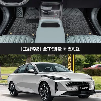 Universal Foot Pad – accessories - thickened-double-layer-main-and-passenger-floor-mats-gray-snow-model-23-24-yida
