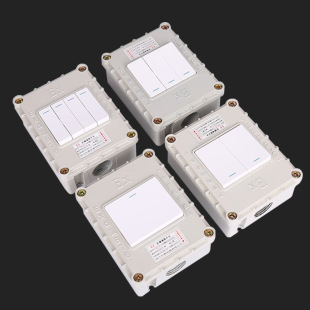 Explosion-proof switch 220v explosion-proof wall switch 380v single and double control panel switch industrial surface mounted waterproof switch
