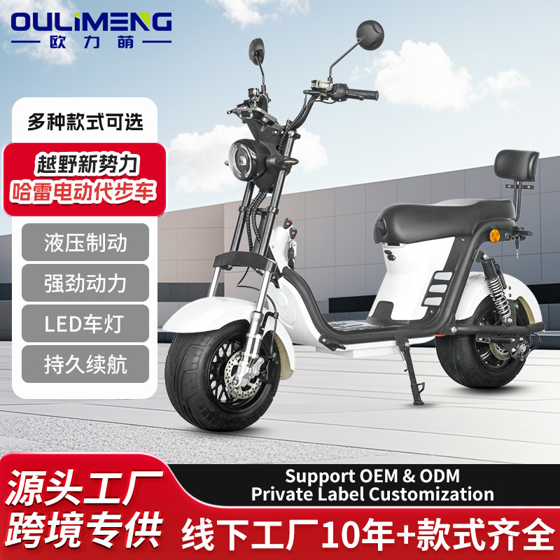 Cross-Border Exclusive Supply of Small Harley Motorcycles, Electric Harley Bikes, Two-Wheeled Bikes, Cruiser Bikes, Wide-Tire Off-Road Electric Vehicles Cross-Border Exclusive Supply of Small Harley Motorcycles, Electric Harley Bikes, Two-Wheeled Bikes, Cruiser Bikes, Wide-Tire Off-Road Electric Vehicles