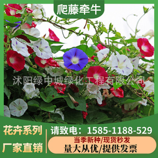 ����ţ�N�Ӵ�������ͥԺ�҃��̨�ļ��׻������ֲ�ţ���N