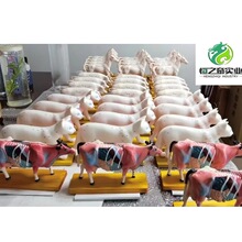 �Rᘾ�ģ�� �i ţᘾ�ģ��+Ѩλ��D1�� ����̌WᘾĽ���ģ��