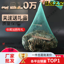 С���lзˮ�a�Ӵ��������]���l�W�����Ͼ������W�����b�з�W�۴�