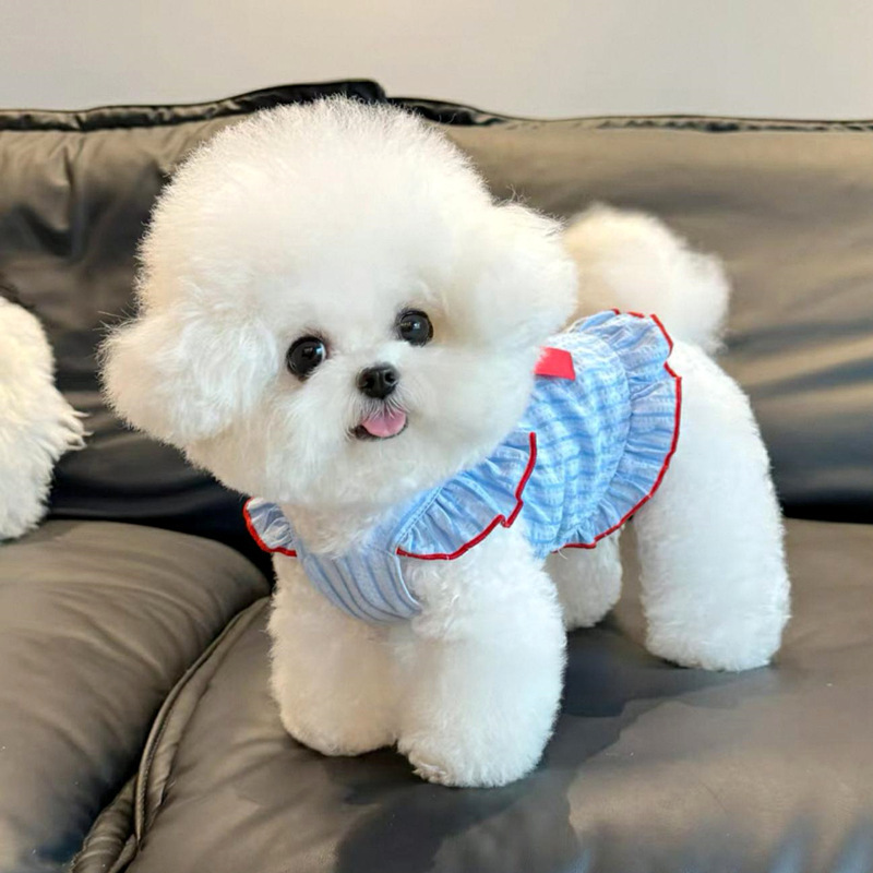 子犬服夏薄いストライプ大きなリボンフライングスリーブサスペンダースカートペットビションテディ猫服|undefined