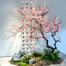 仿真桃花树假樱花梅花树玄关花园阳台许愿树新春装饰绿植景观造景