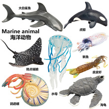 �羳���溣�����ģ�ʹ�����������Lħ���~�W�^��ˮĸƤƤ�r���