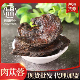 产地货源肉苁蓉  内蒙古肉苁蓉散装大货批发 软肉苁蓉切片泡酒料