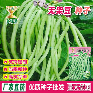 �o�ܶ��ǷN�Ӵ�ȫ������L�����N�Ӱ�ܿ�ϼܶ�����t�����߲˷N��