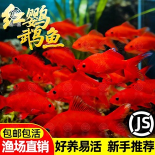 ��ˮ�W�^�~Ѫ�W�^�t���~�\����ˮ�^�p�~���w�~����B�ͻ�lؔ�~