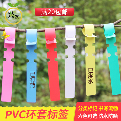 colour Garden Tags /PVC Collar tag/Seedlings label/Flower Label[Rainbow]