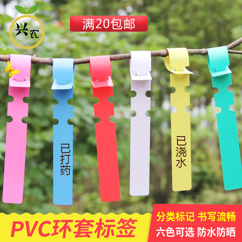 colour Garden Tags /PVC Collar tag/Seedlings label/Flower Label[Rainbow]