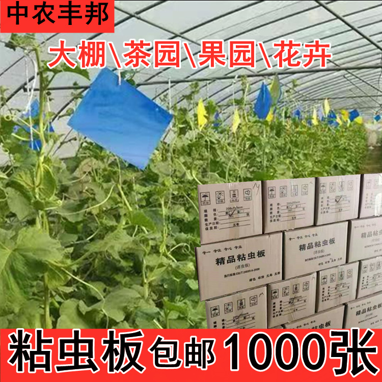 粘虫板批发大棚黄板双面粘飞虫白粉虱蓝板蓟马果园茶园1000张包邮