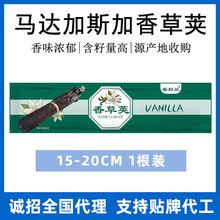 马达加斯加香草荚香草棒香草兰豆香草条1根装香兰天然香料