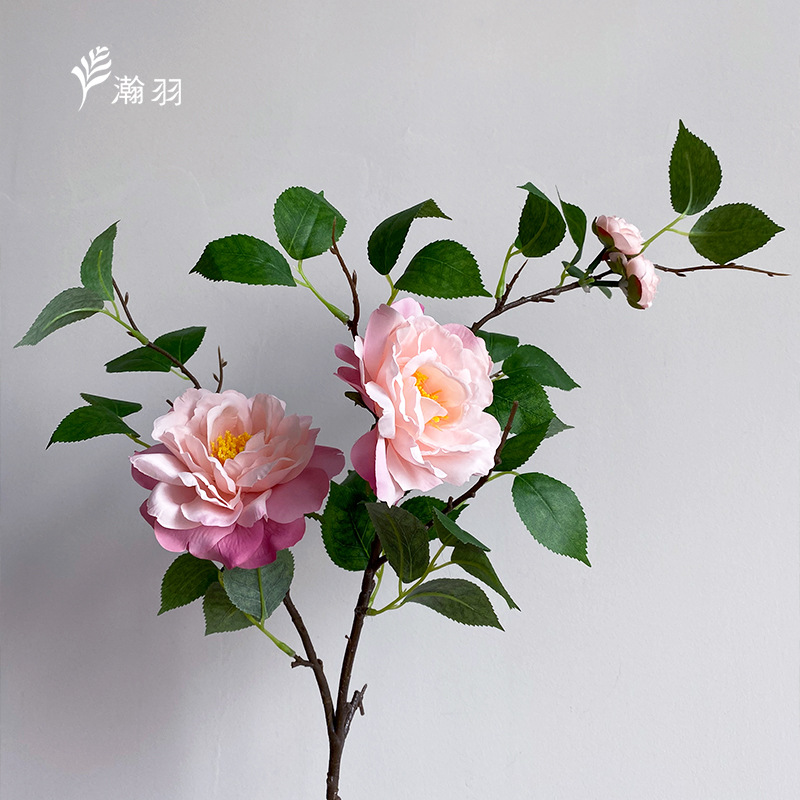 2색 파우더
