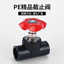 PE��Ʒ��ֹ�y����ʽ�ԁ�ˮ��ֹˮ�y�T�����yPE��ֹ�y�l�y�ܼ����