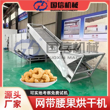 腰果仁坚果类烘干设备 连续式开心果碧根果烘干机 网带腰果烘干机